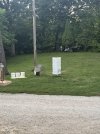 IMG_1936.jpeg