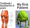 IMG_3767.png