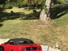 IMG_5787.jpeg