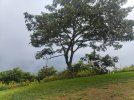 IMG20250907134626.jpg