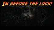IMG_8528.gif IMG_8528.gif
