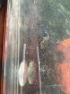 IMG_2046.jpeg