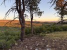 IMG_2087.jpeg