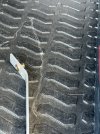 IMG_2310.jpeg