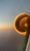 IMG_0623.jpeg