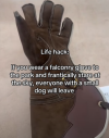 1760142843564.png