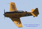 T6-114799.jpg