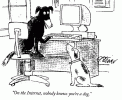 nobodyknowsyoureadog1.gif nobodyknowsyoureadog1.gif