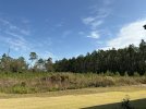 IMG_1686.jpeg
