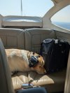 IMG_1531.jpeg