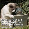 statue reads slowly.jpg