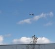 IMG_2436.jpeg