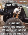1762312605689.png