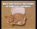 1762998761689.png