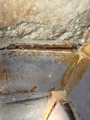 IMG_2541.jpeg