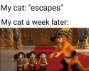 IMG_1618.jpeg