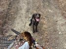 IMG_0613.jpeg