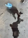 441 leak.jpg