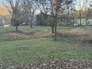 IMG_2585.jpeg