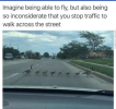 1763364087404.png