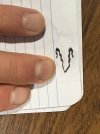 IMG_0819.jpeg