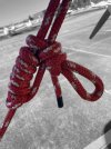 knot.jpg