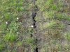 Cracks in the runways e (1077 x 808).jpg