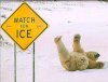 fail-icebear.jpg