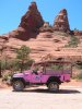 Pink Jeeps.JPG