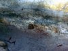 BackWall-sml.JPG
