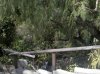 hillside-small.jpg