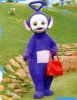 tinkywpurse%5B1%5D.jpg