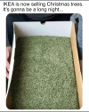 1764943061158.png
