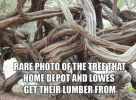 1765308898833.png