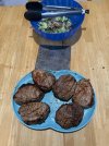 IMG_6308.jpeg