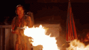 IMG_8704.gif