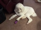 IMG_6096.jpeg