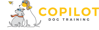 CopilotLogo.png CopilotLogo.png
