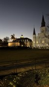 IMG_2367.jpeg