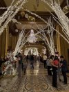 IMG_2365.jpeg