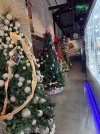 IMG_2417.jpeg