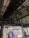 IMG_2418.jpeg