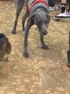 IMG_2890.jpeg