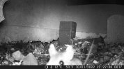 IMG_6174.jpeg IMG_6174.jpeg