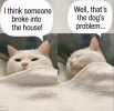 1768272147799.png