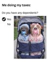 1768618526243.jpeg