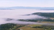 Fog-Farms.jpeg
