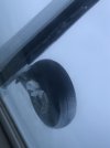IMG_5963.jpeg