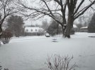 IMG_4453.jpeg IMG_4453.jpeg