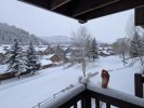 a foot of snow.jpg